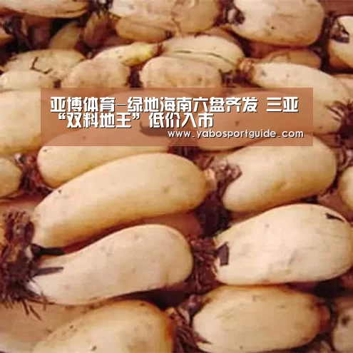 亚博品牌