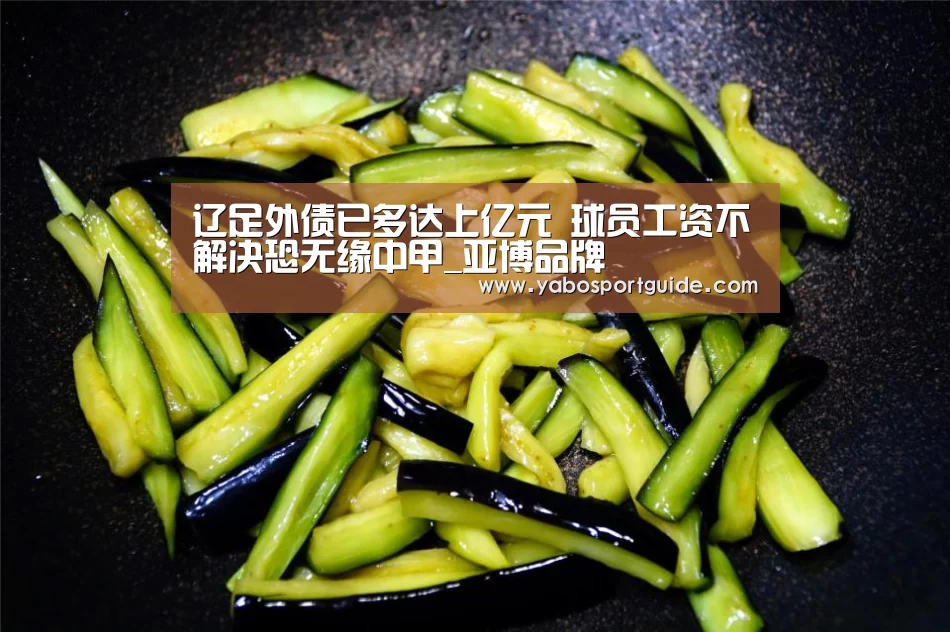 辽足外债已多达上亿元 球员工资不解决恐无缘中甲_亚博品牌(图3) 亚博官网